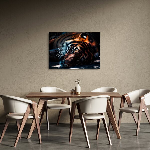Egy fekvő tigris képe (üvegen) (70x50 cm)