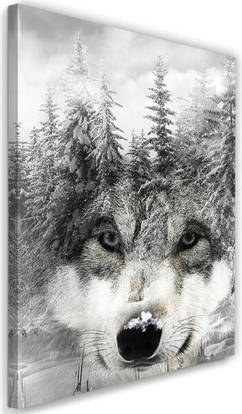 Gario Vászonkép Farkas téli tájban Méret: 40 x 60 cm
