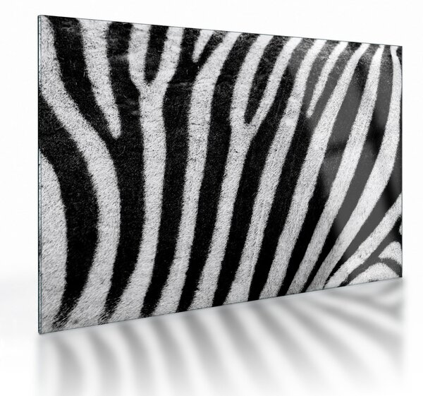 Kép egy zebra bőrről (üvegen) (70x50 cm)