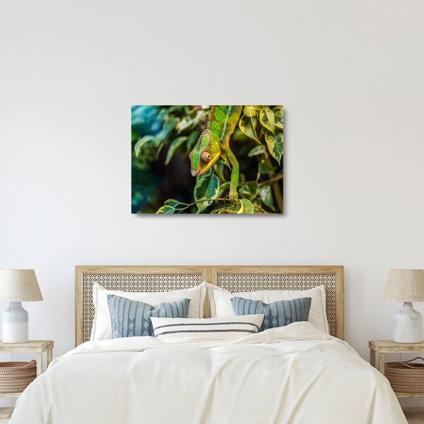 Kaméleon képe (üvegen) (70x50 cm)