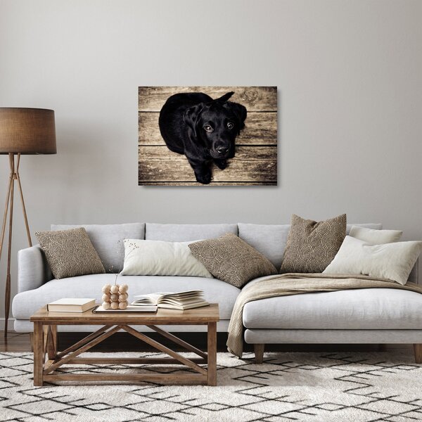 Egy fekete kiskutya képe (üvegen) (70x50 cm)