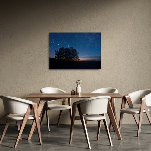 A fák éjjel képe (üvegen) (70x50 cm)