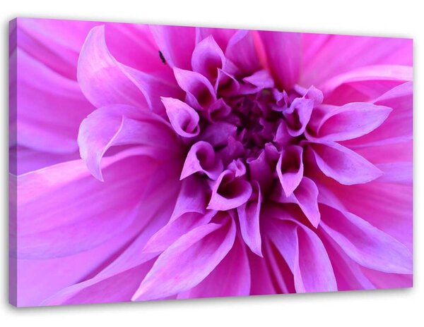 Gario Vászonkép Lila virág Méret: 60 x 40 cm