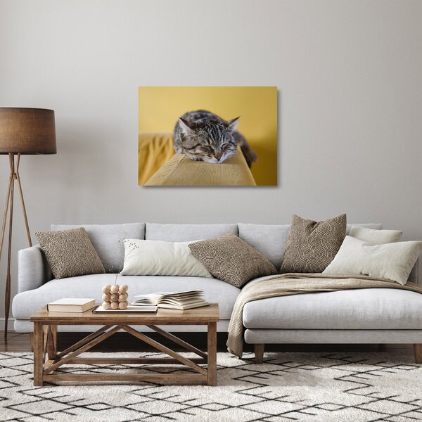 Macska a kanapén képe (üvegen) (70x50 cm)