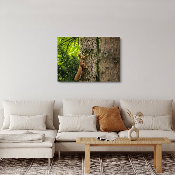 Kép - Mókus (üvegen) (70x50 cm)