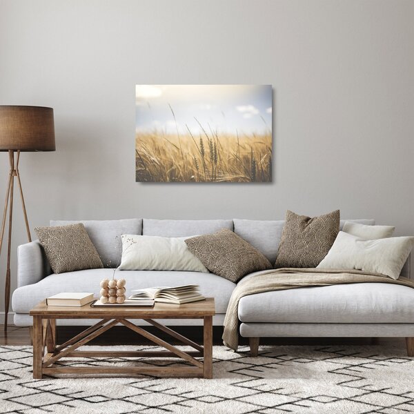 A gabona képe (üvegen) (70x50 cm)