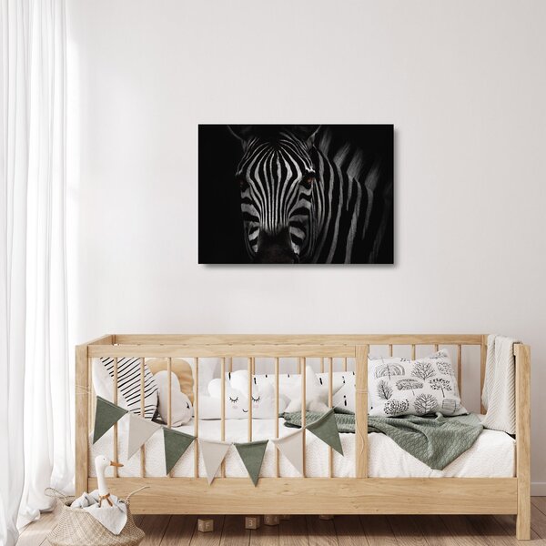Zebra képe (üvegen) (70x50 cm)