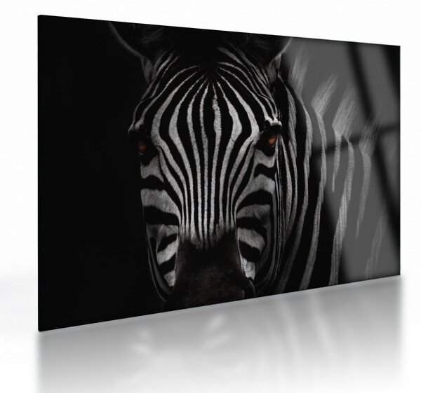 Zebra képe (üvegen) (70x50 cm)