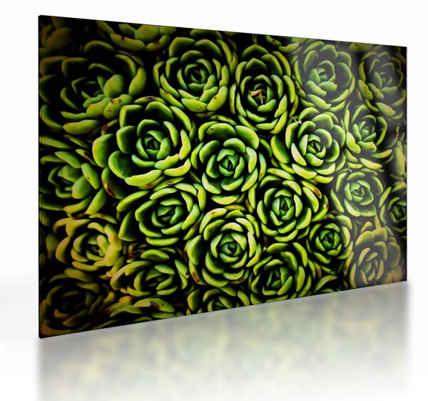 Sziklák képe (üvegen) (70x50 cm)