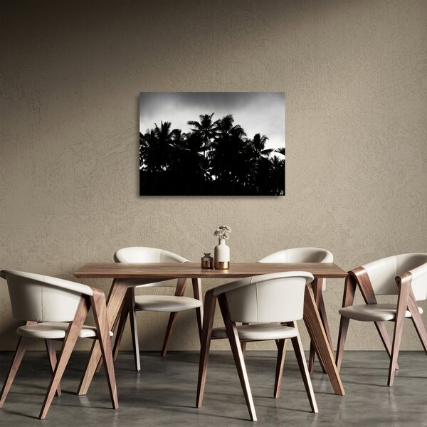A fekete-fehér pálmafák képe (üvegen) (70x50 cm)