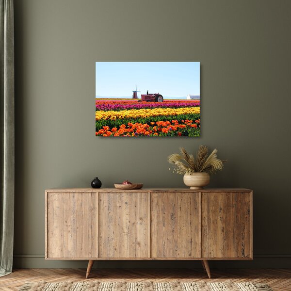 Tulipánfarm képe (üvegen) (70x50 cm)