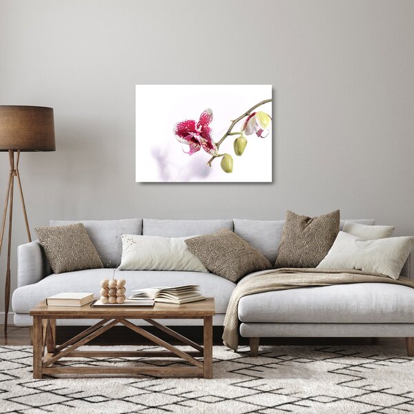 Orchidea virág képe (üvegen) (70x50 cm)
