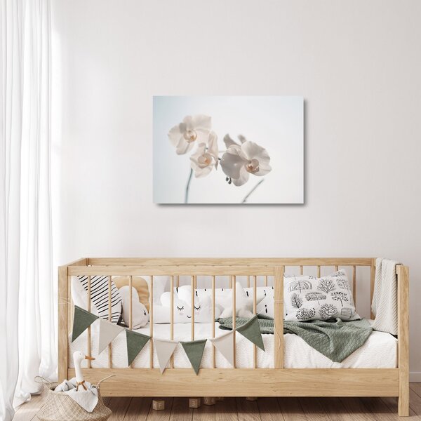 Fehér orchidea képe (üvegen) (70x50 cm)