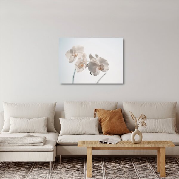 Fehér orchidea képe (üvegen) (70x50 cm)