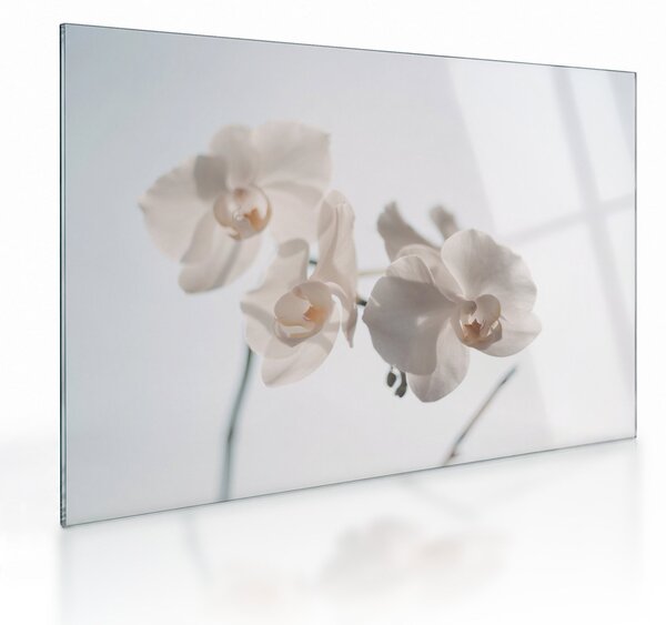 Fehér orchidea képe (üvegen) (70x50 cm)