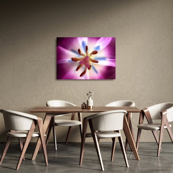 Kép - Tulipán virág részletesen (üvegen) (70x50 cm)