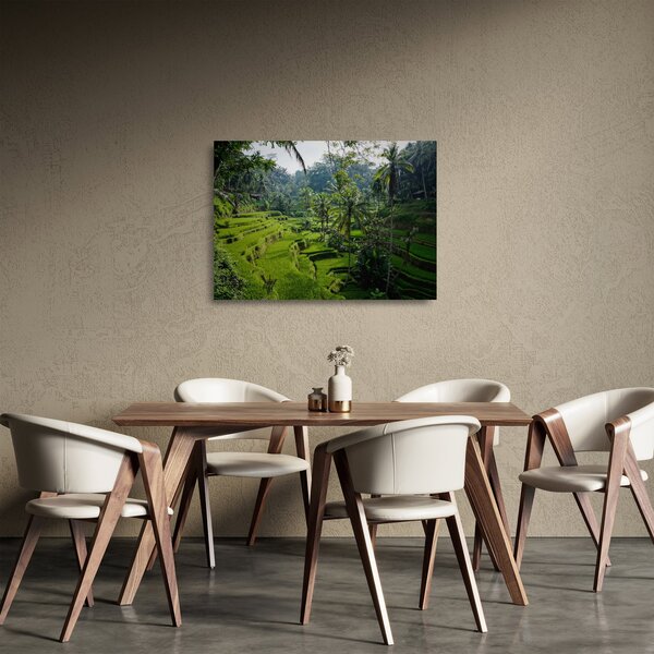 Kép a rizs teraszokról, Tegalalang, Bal (üvegen) (70x50 cm)