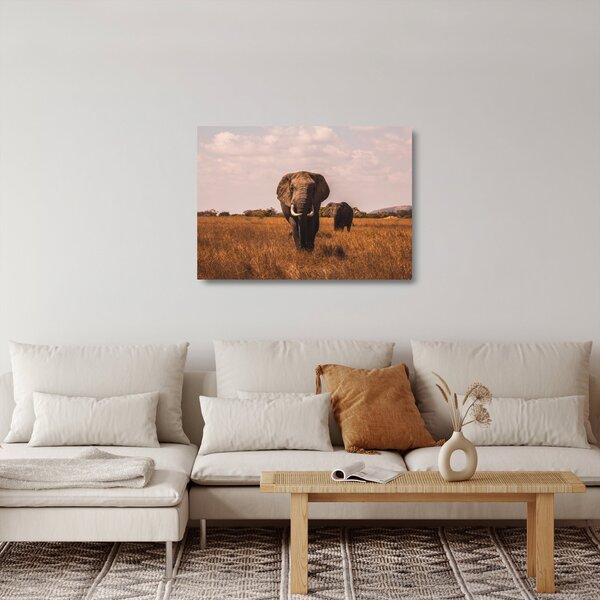Kép - Az elefánt érkezése (üvegen) (70x50 cm)