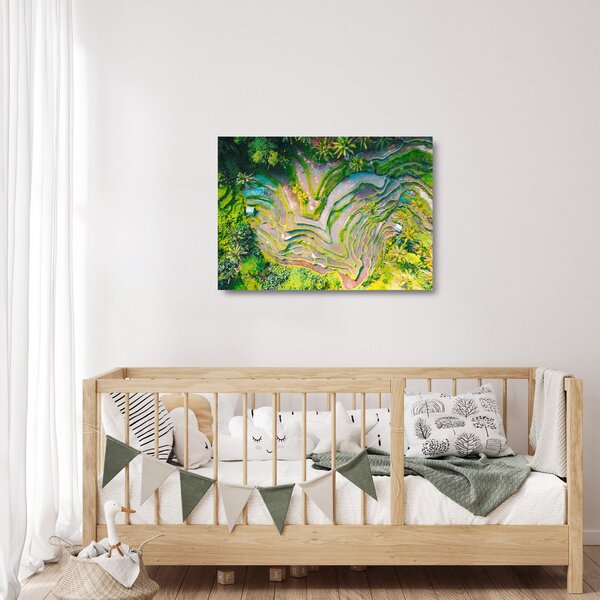 A rizsföldek képe madártávlatból (üvegen) (70x50 cm)