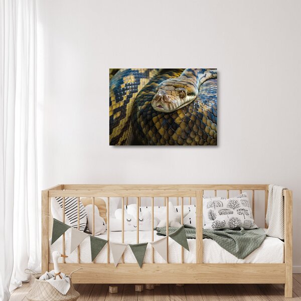 Kép - Piton (üvegen) (70x50 cm)