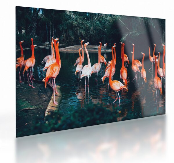 Flamingók csordája (üvegen) (70x50 cm)