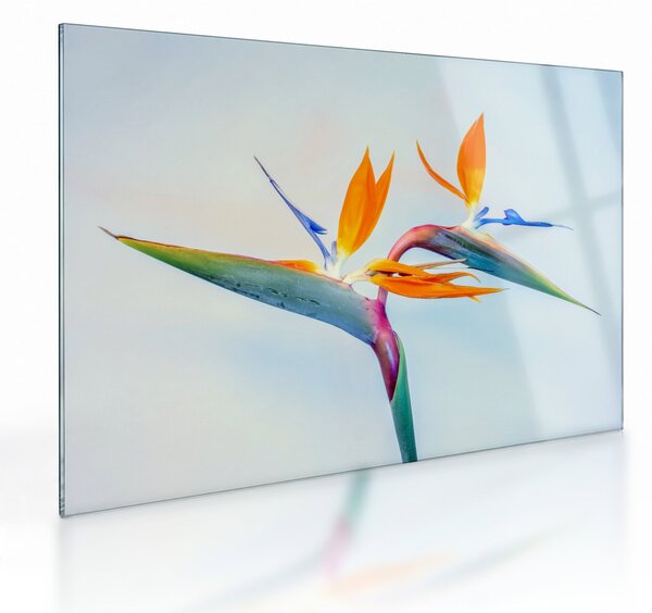 Virág képe (üvegen) (70x50 cm)