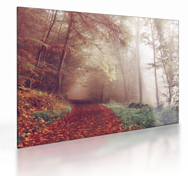 Kép - Őszi séta az erdőben (üvegen) (70x50 cm)