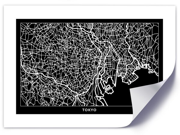 Gario Poszter Tokió város terve A keret színe: Keret nélkül, Méret: 30 x 20 cm