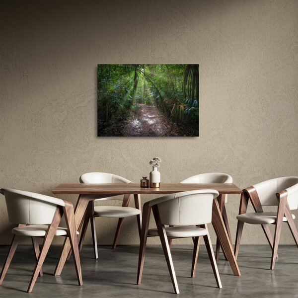 Kép - Napsugarak a dzsungelben (üvegen) (70x50 cm)