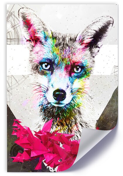 Poszter Fox és geometria A keret színe: Keret nélkül, Méretek: 20 x 30 cm