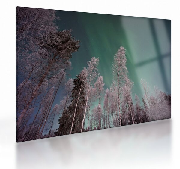 Az aurora borealis képe fagyos fák felett (üvegen) (70x50 cm)