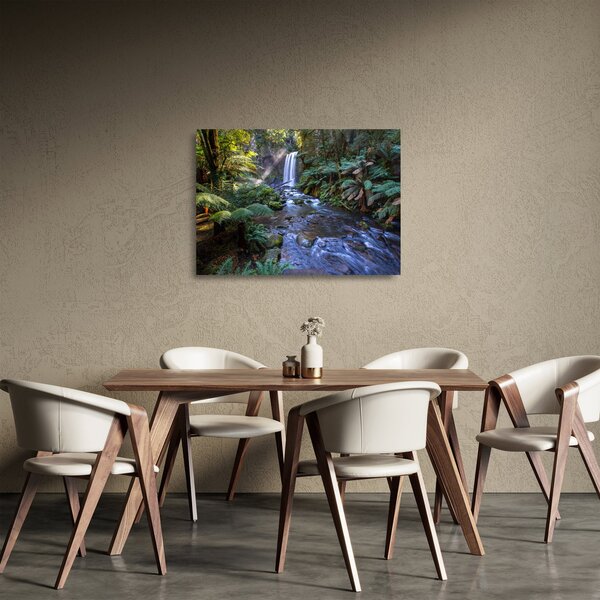 Ausztrál esőerdő képe (üvegen) (70x50 cm)