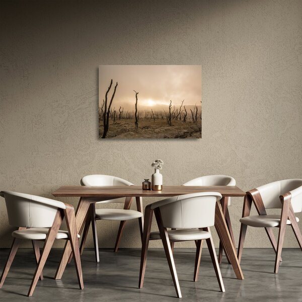 Kép - Csupasz fák (üvegen) (70x50 cm)