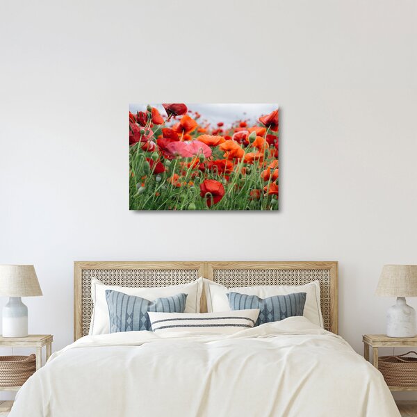 Egy kép a pipacs mezőről (üvegen) (70x50 cm)