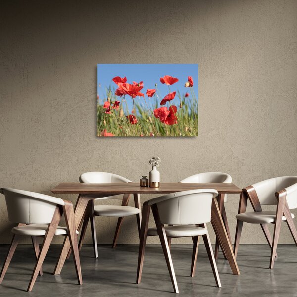 Kép - Pipacsok (üvegen) (70x50 cm)