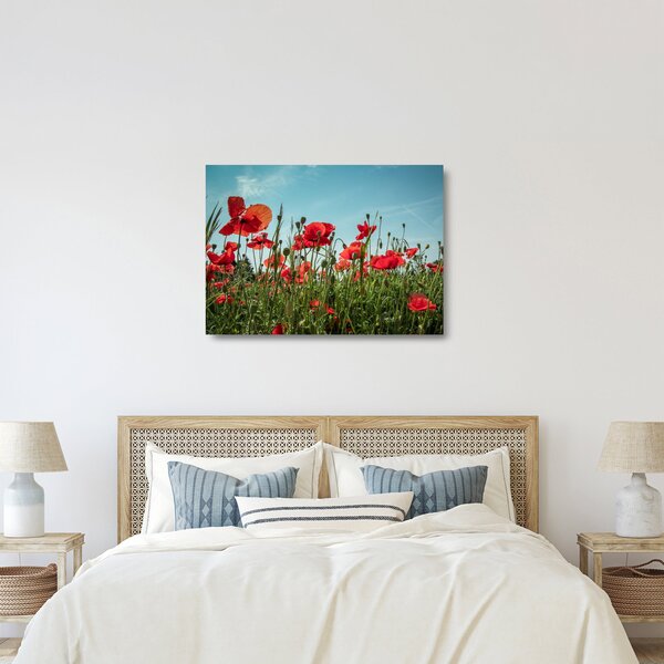 Kép - Pipacsos mező (üvegen) (70x50 cm)