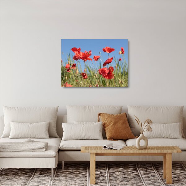 Kép - Pipacsok (üvegen) (70x50 cm)