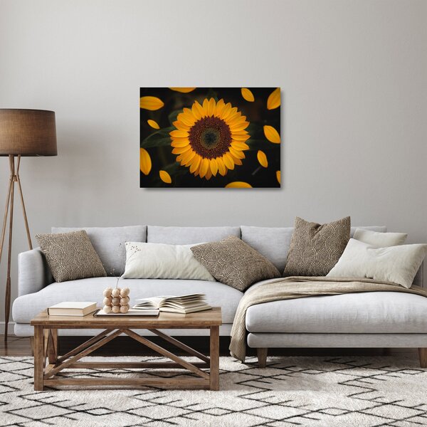 Kép - Napraforgók és a virágszirmok (üvegen) (70x50 cm)