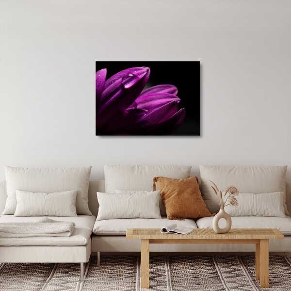 Kép - Vízcsepp (üvegen) (70x50 cm)