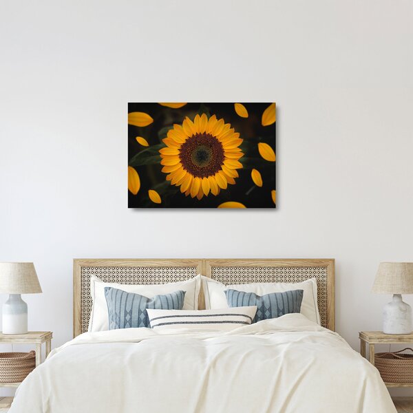 Kép - Napraforgók és a virágszirmok (üvegen) (70x50 cm)