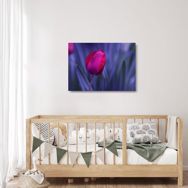 Tulipán bimbó képe (üvegen) (70x50 cm)