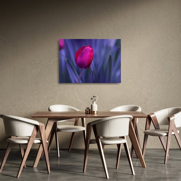 Tulipán bimbó képe (üvegen) (70x50 cm)