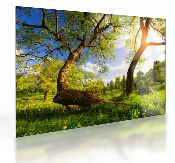 Kép egy tavaszi rétről (üvegen) (70x50 cm)