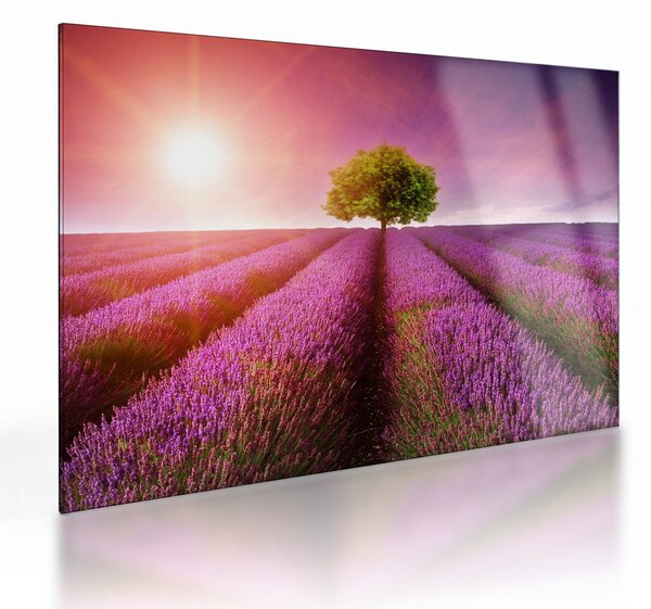 Levendula mező képe (üvegen) (70x50 cm)
