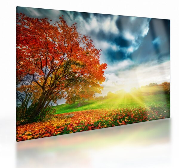 Napsütésben fürdő táj képe (üvegen) (70x50 cm)