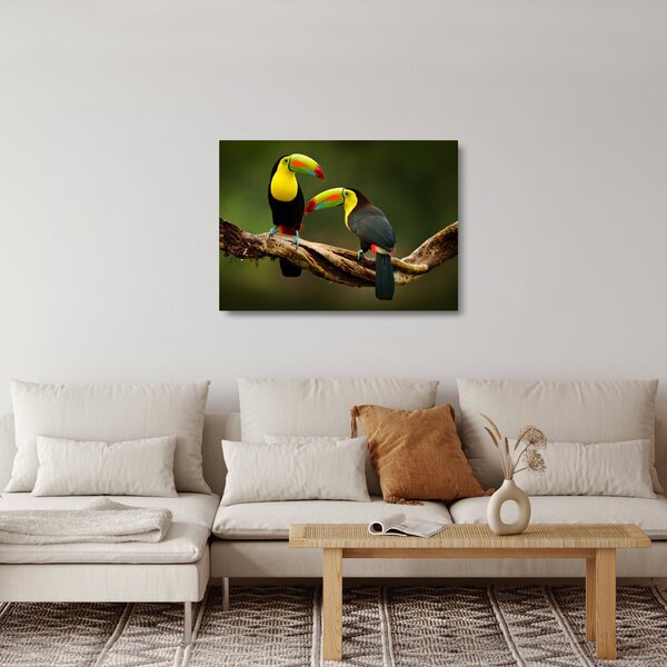 Ülő tukánok képe, Costa Rica (üvegen) (70x50 cm)