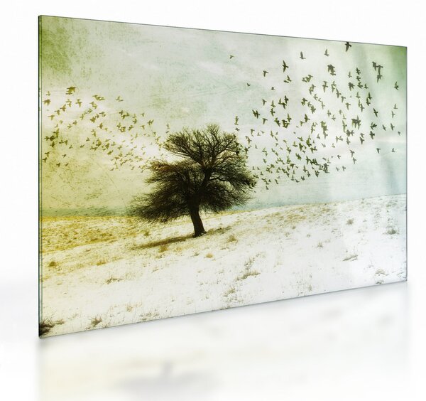 Kép - Festett madárállomány (üvegen) (70x50 cm)