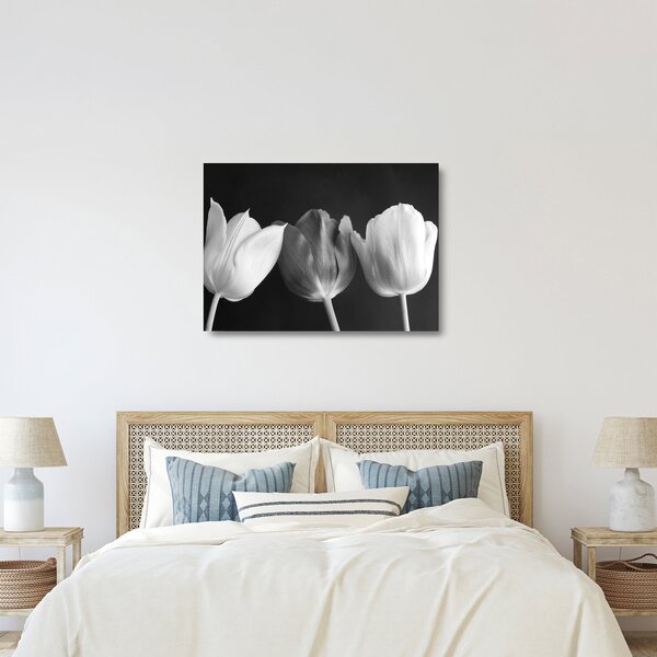 Kép - fekete-fehér tulipán virág (üvegen) (70x50 cm)
