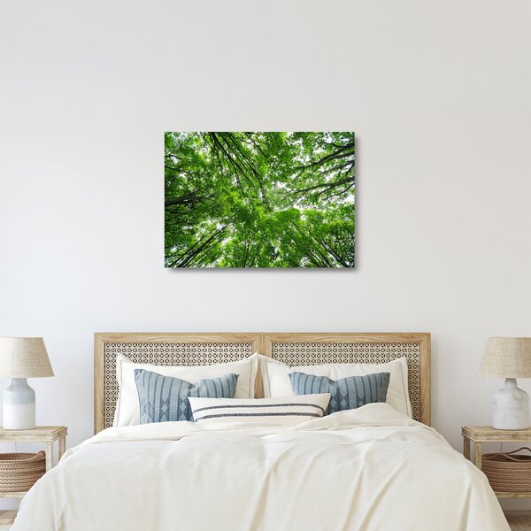 Kép - Kilátás a fák tetejére (üvegen) (70x50 cm)