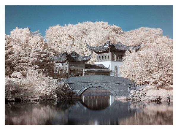 Kép - Virágzó fák Ázsiában (üvegen) (70x50 cm)